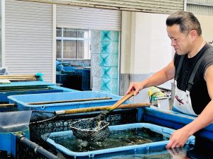 西海大崎漁協のお魚を食べるなら！